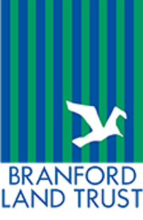 Teaming up with the Branford Land Trust for a trail restoration project